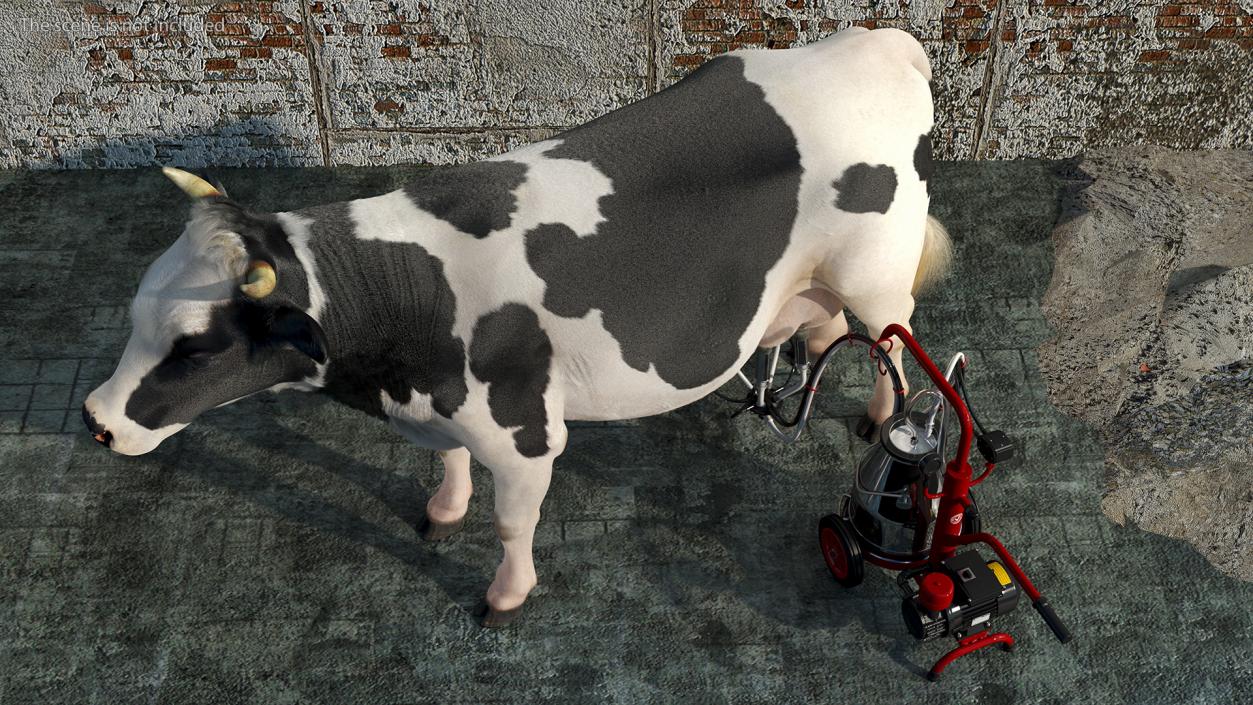 Dairy Cow with Milking Machine Fur 3D model