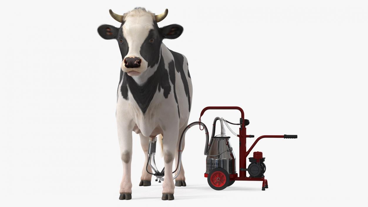 Dairy Cow with Milking Machine Fur 3D model