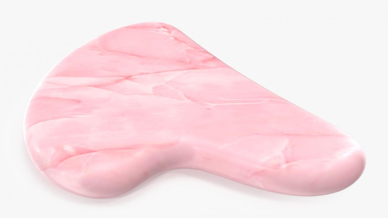 Rose Quartz Gua Sha 3D model