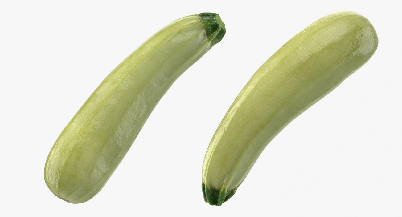 Summer Squash Gray Zucchini 3D