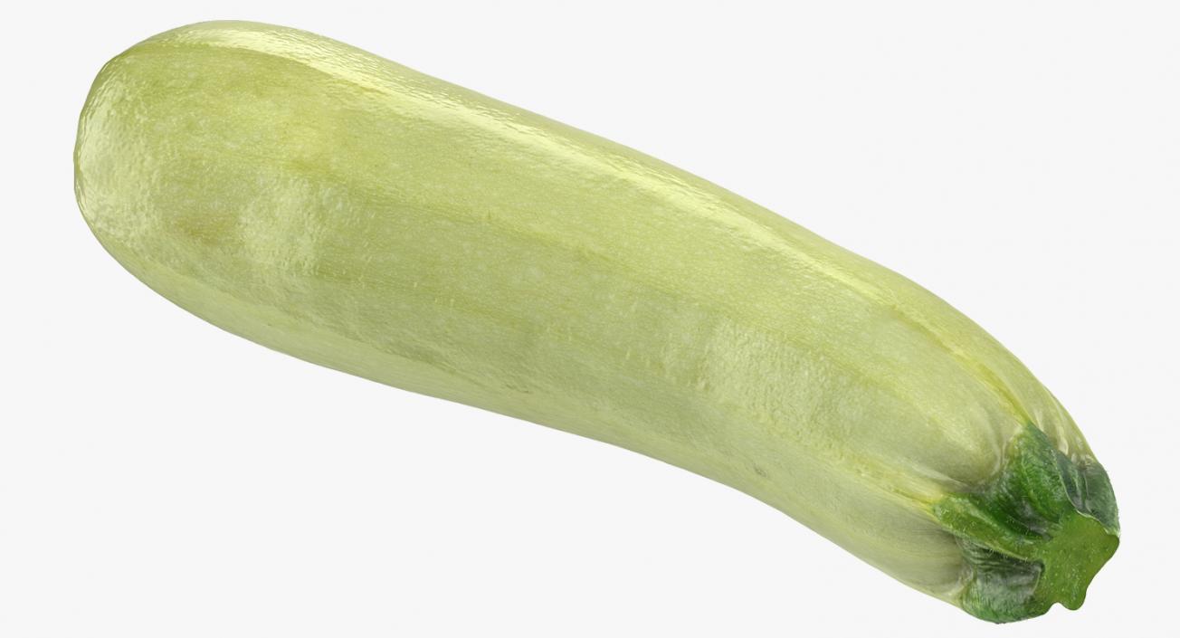 Summer Squash Gray Zucchini 3D