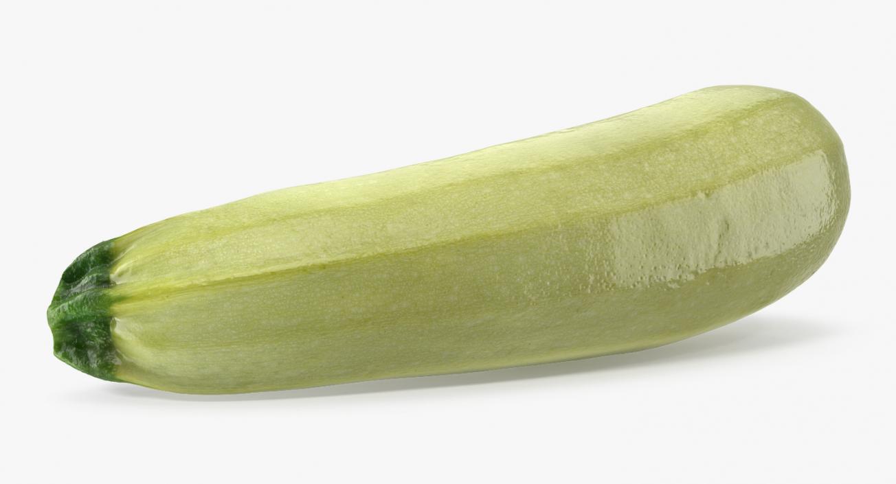 Summer Squash Gray Zucchini 3D