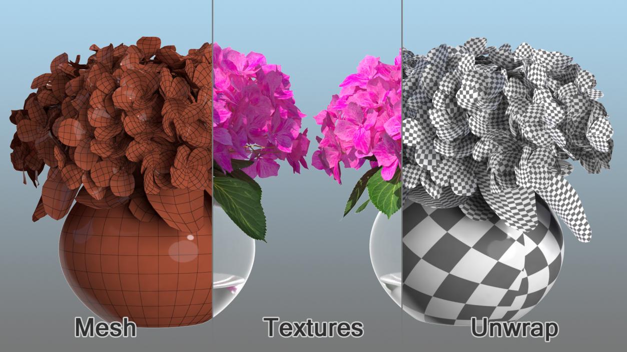 3D model Hydrangea Macrophylla Pink Annabelle in Glass Vase