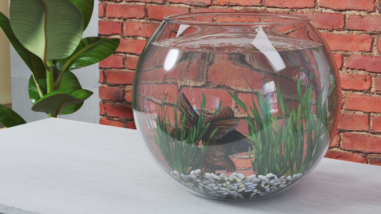 Round Aquarium with Black Moor Goldfish 3D model