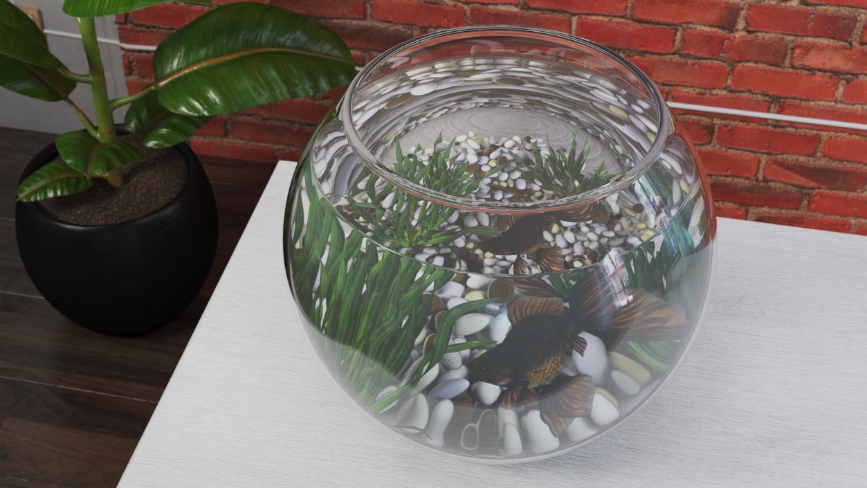 Round Aquarium with Black Moor Goldfish 3D model