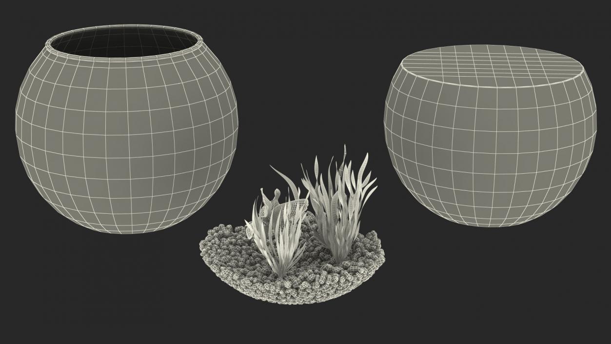 Round Aquarium with Black Moor Goldfish 3D model