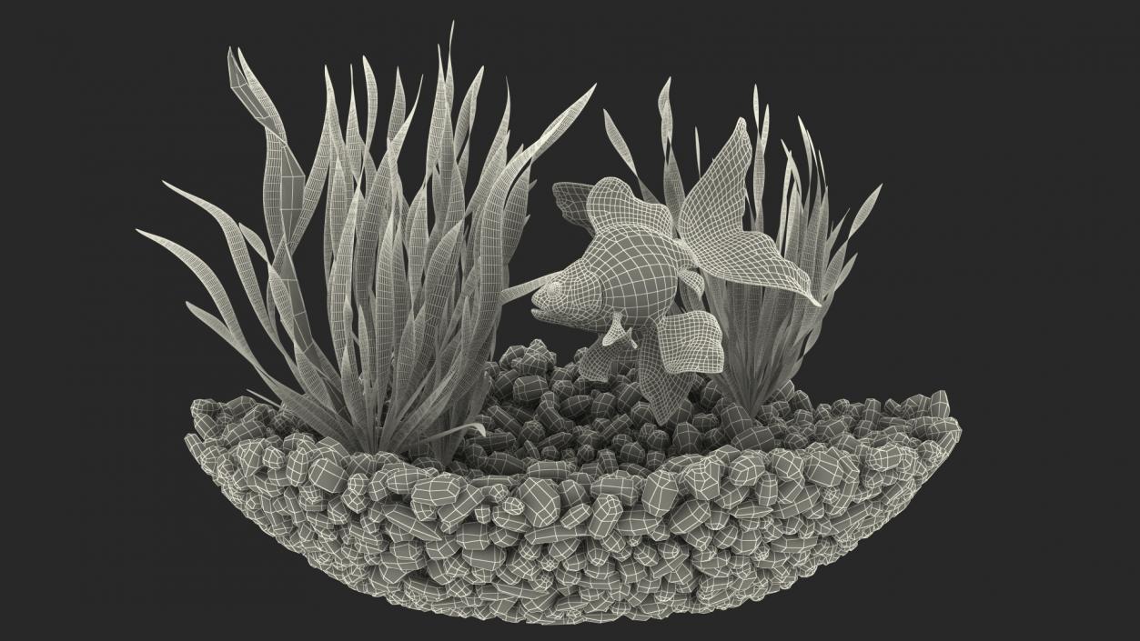 Round Aquarium with Black Moor Goldfish 3D model