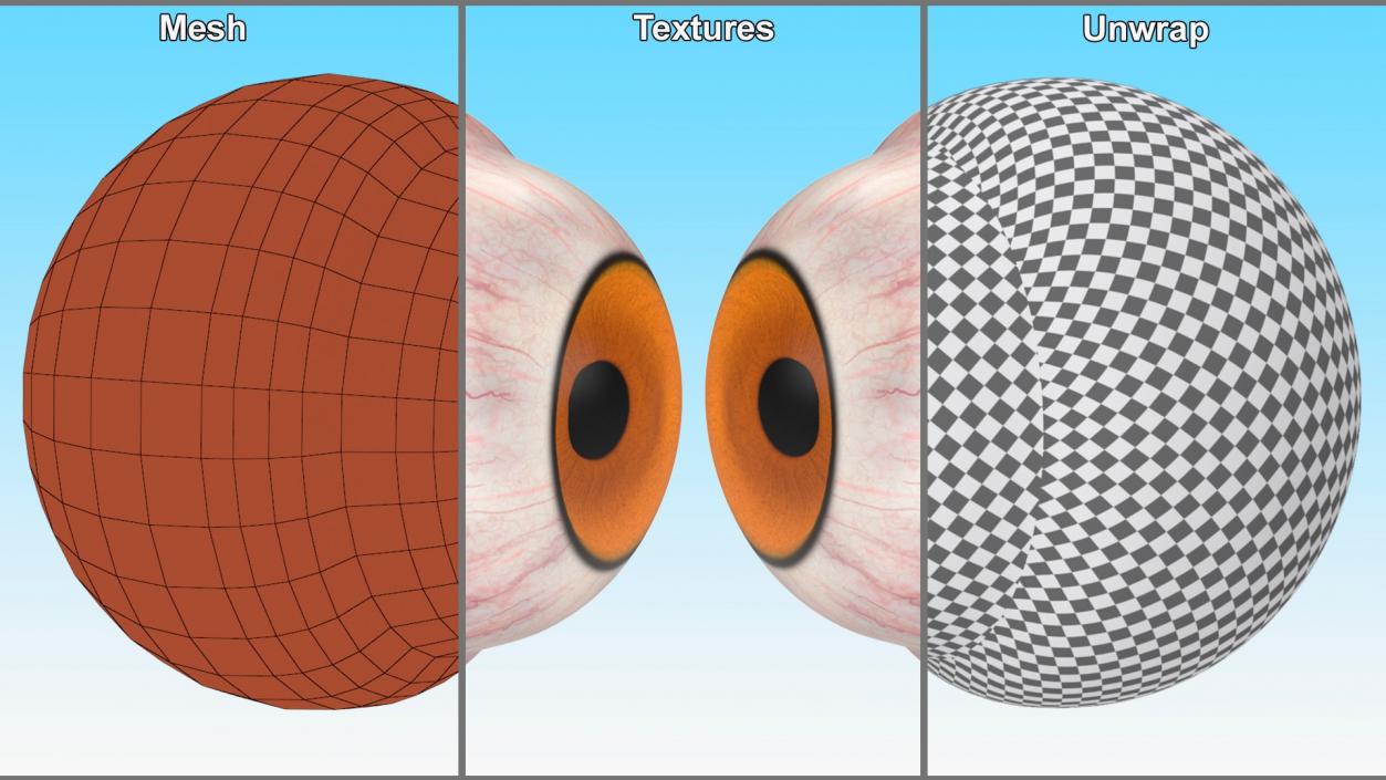 Realistic Animal Eyes Collection 5 3D model