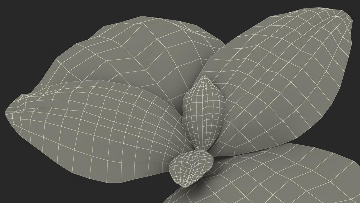 Leaves Collection 4 3D model