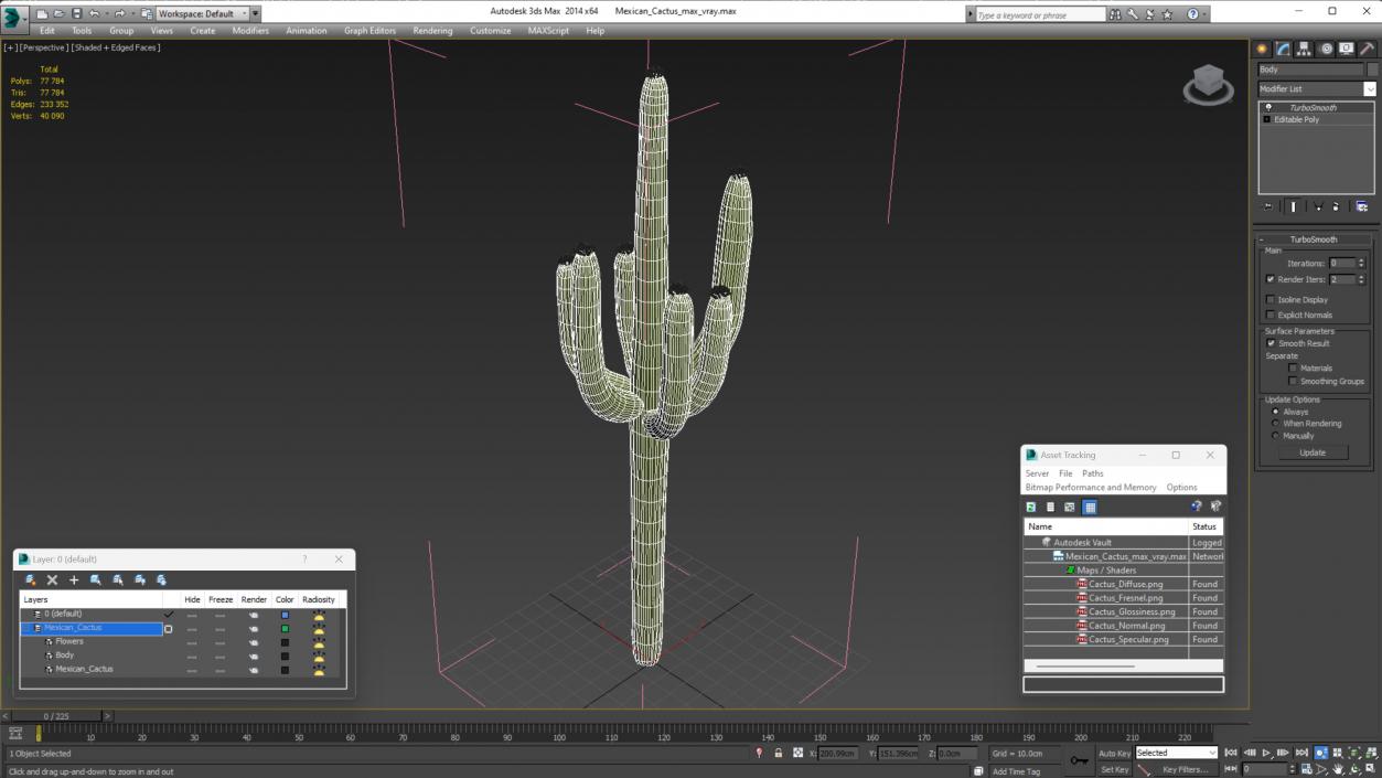 Mexican Cactus 3D model