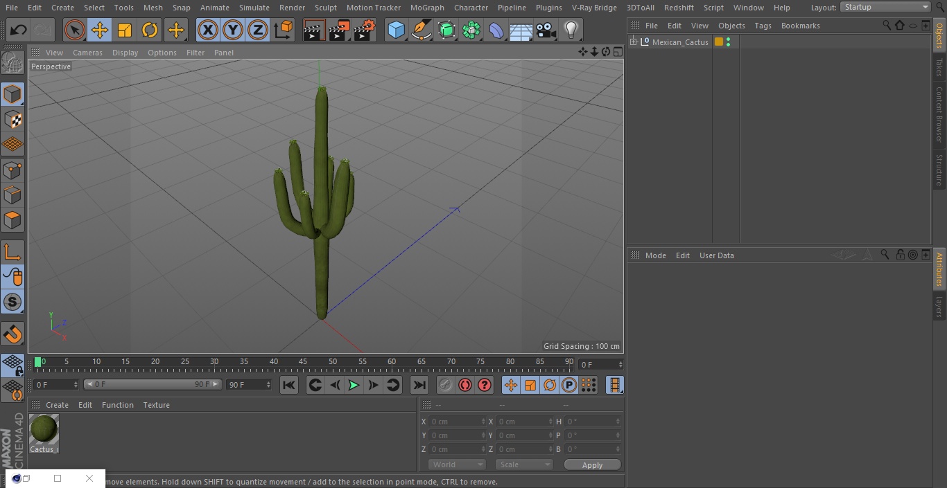 Mexican Cactus 3D model