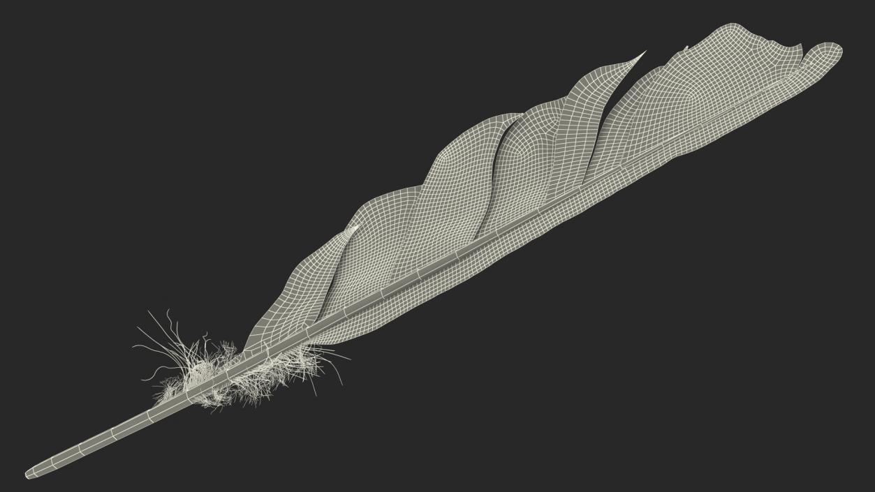 Dark Bird Feather 3D