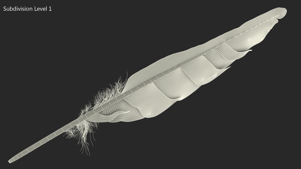 Dark Bird Feather 3D