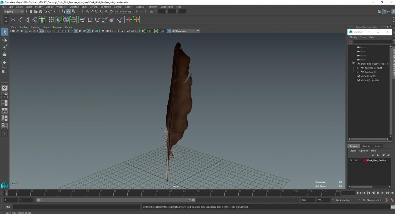 Dark Bird Feather 3D