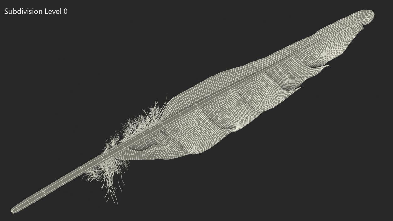 Dark Bird Feather 3D