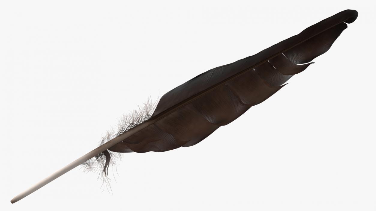 Dark Bird Feather 3D