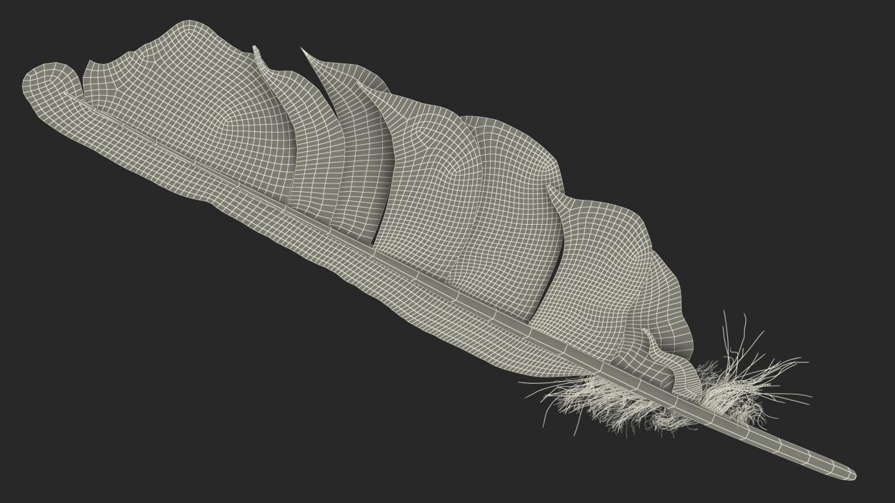 Dark Bird Feather 3D