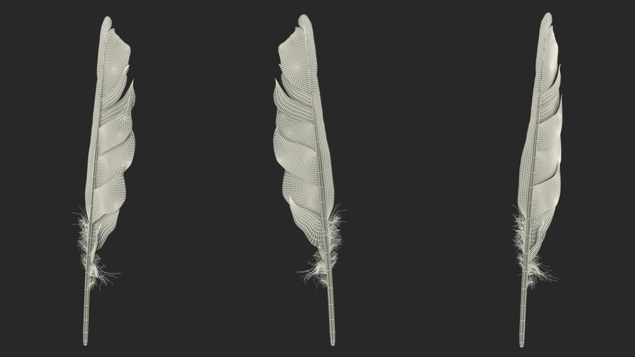 Dark Bird Feather 3D