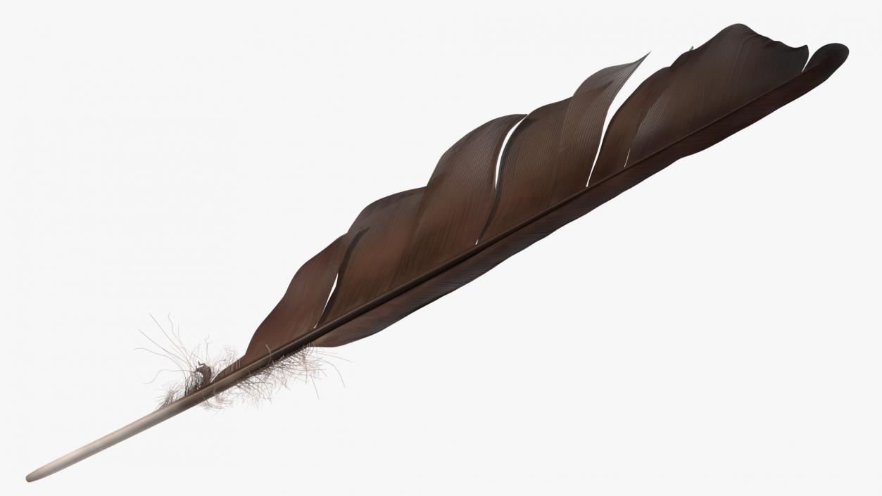 Dark Bird Feather 3D