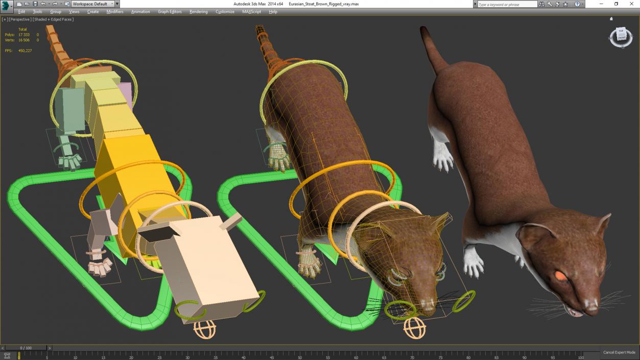 3D Eurasian Stoat Brown Rigged for Maya