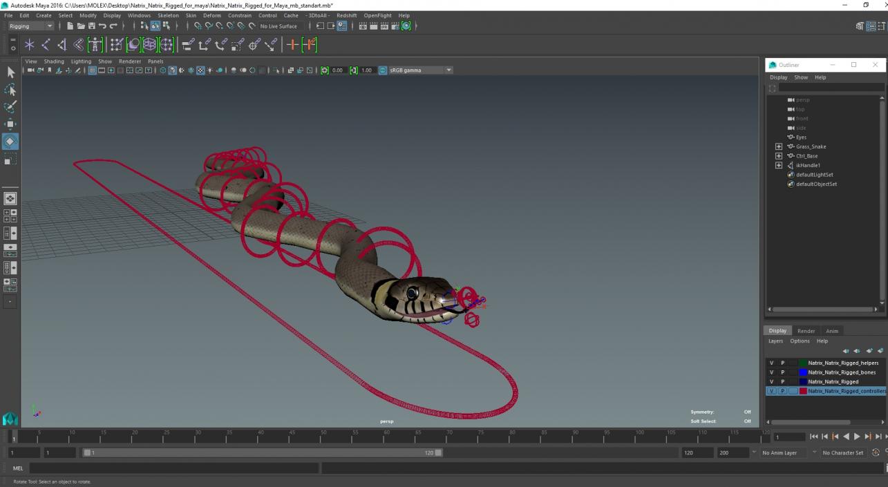 Natrix Natrix Rigged for Maya 3D model