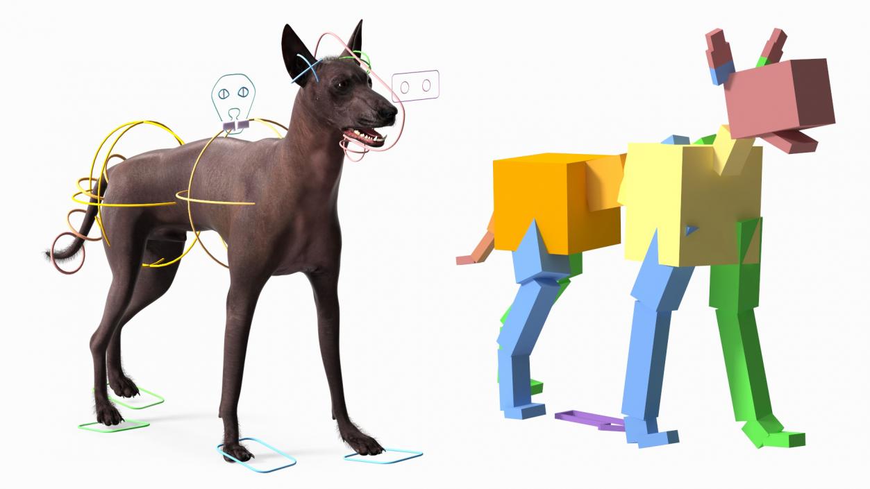 Dogs Rigged Collection 6 3D model