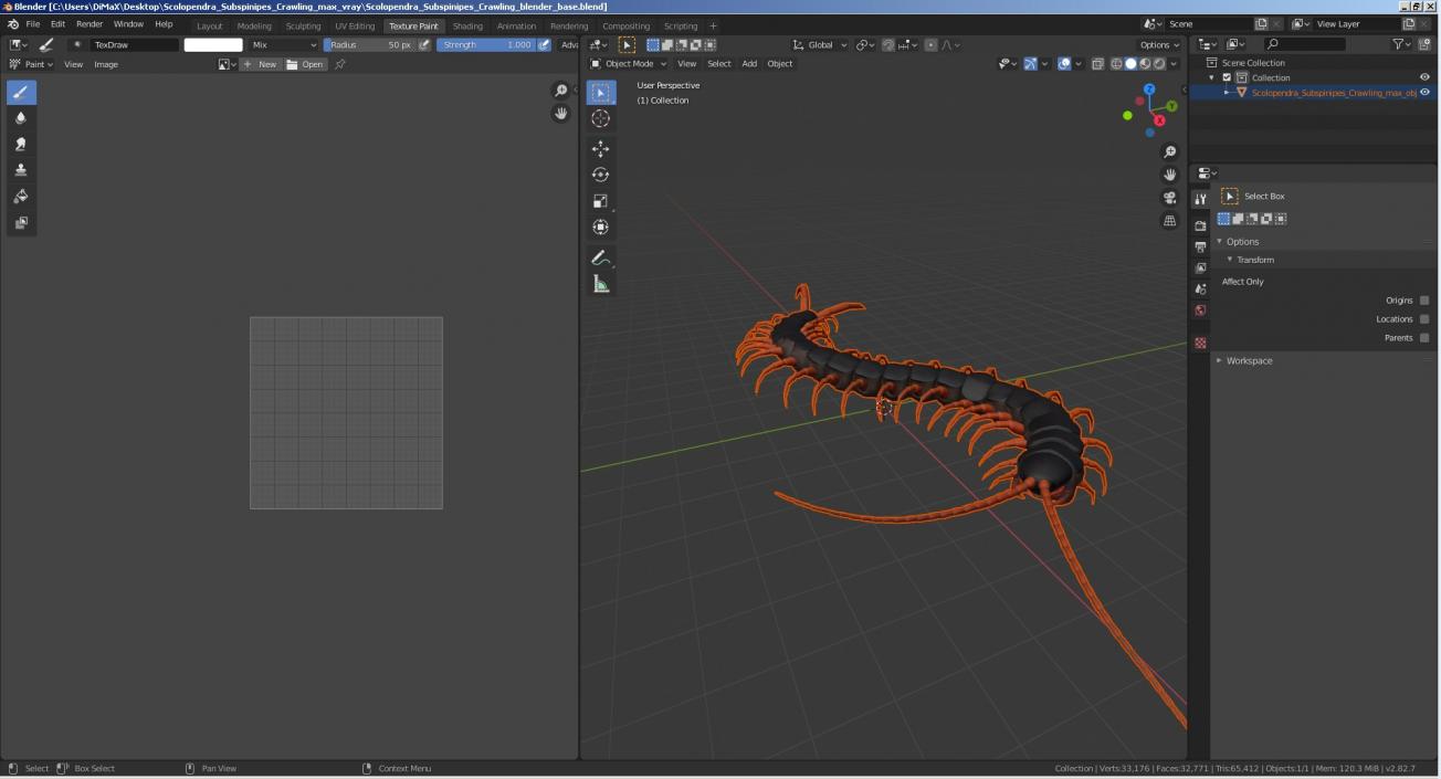 Scolopendra Subspinipes Crawling 3D