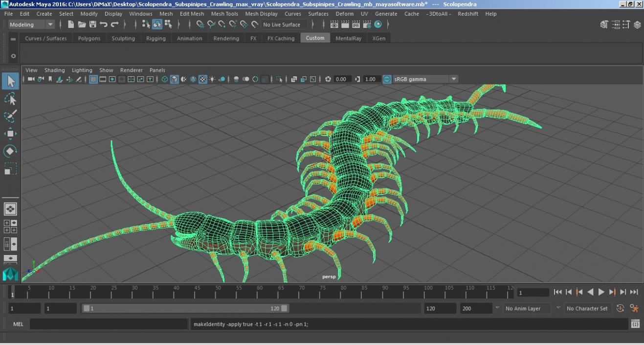 Scolopendra Subspinipes Crawling 3D