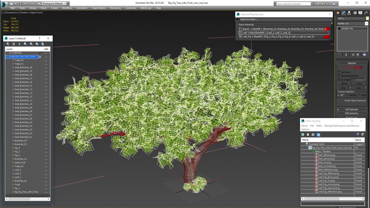 Big Fig Tree with Fruits 3D model