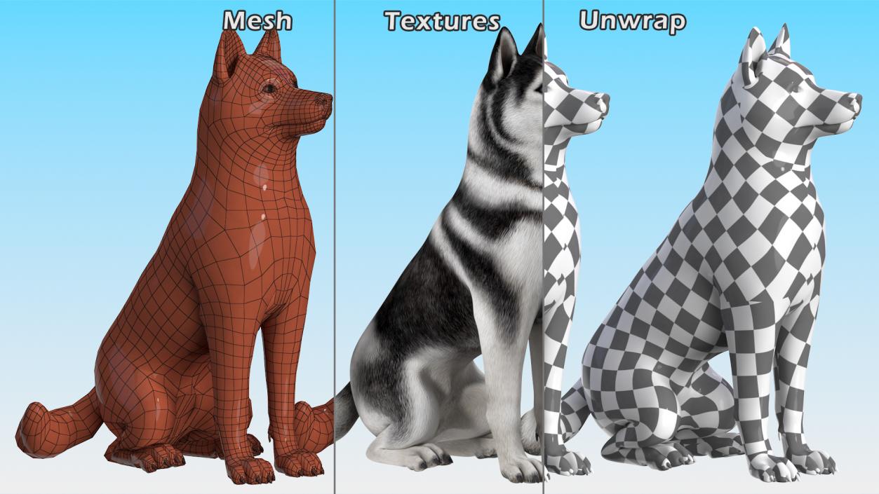 3D Sitting Husky Dog Black and White model