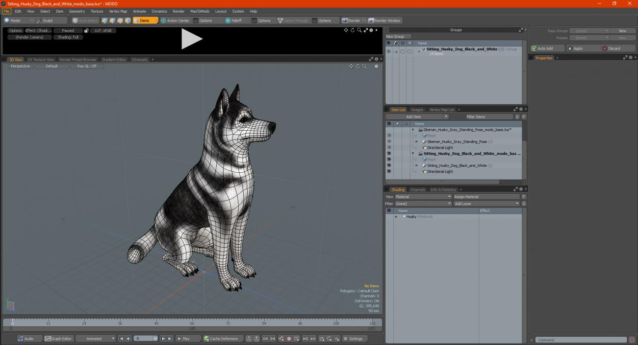 3D Sitting Husky Dog Black and White model