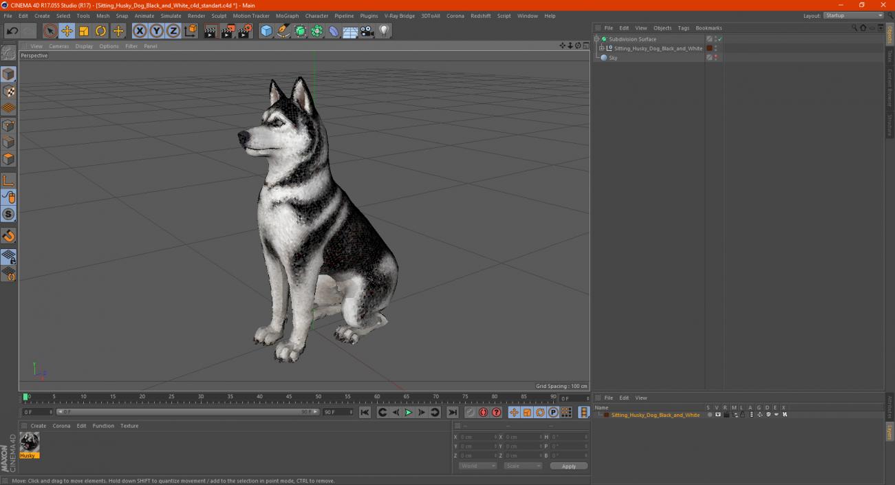 3D Sitting Husky Dog Black and White model