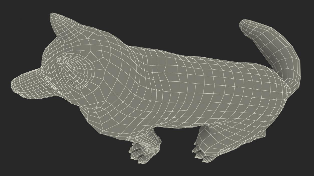 3D Sitting Husky Dog Black and White model