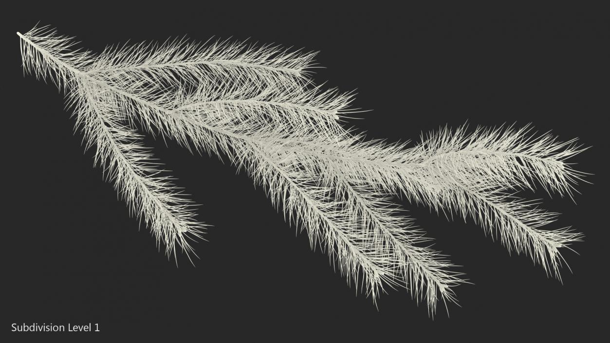 Green Pine Branch 3D