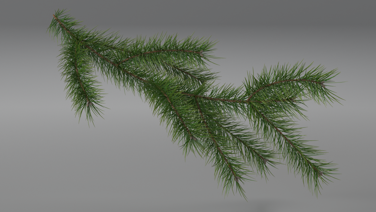 Green Pine Branch 3D