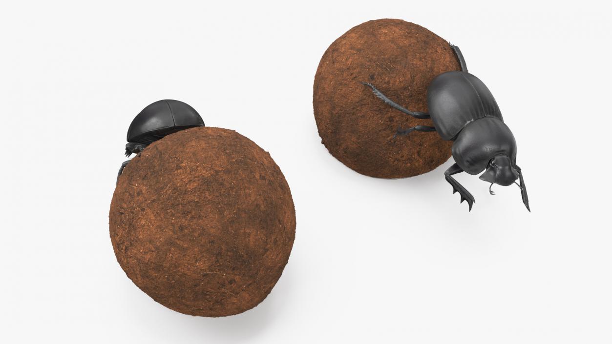 3D Manure Roller Pushing Sphere model