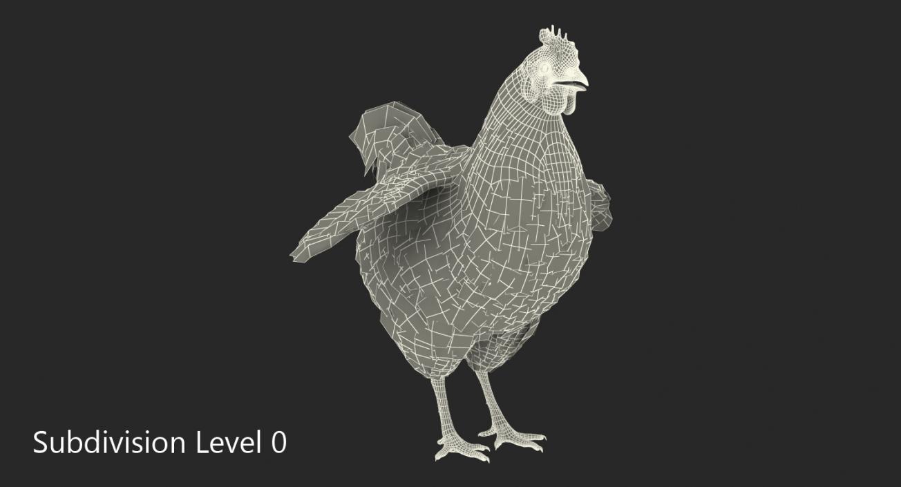 Chicken 3D model