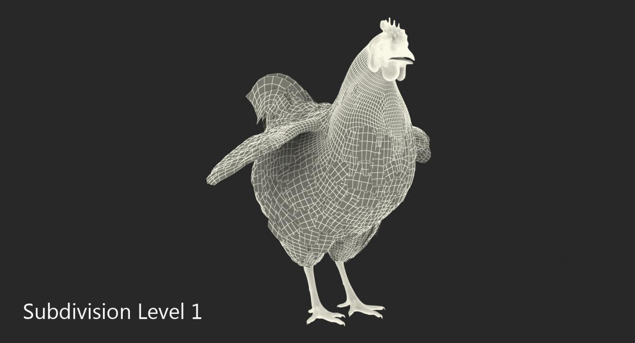 Chicken 3D model