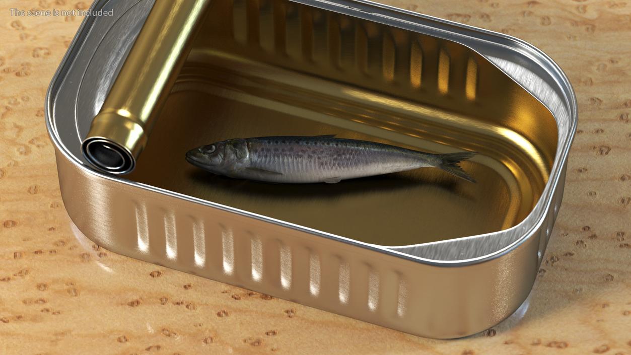 Canned Sardine Fish 3D model