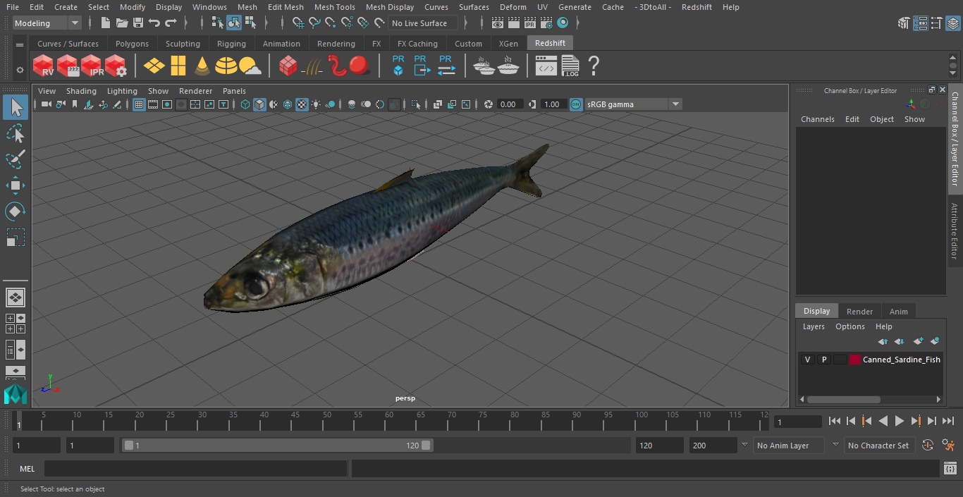 Canned Sardine Fish 3D model