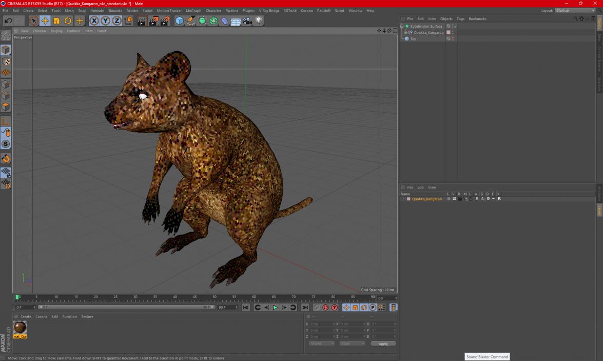 3D model Quokka Kangaroo