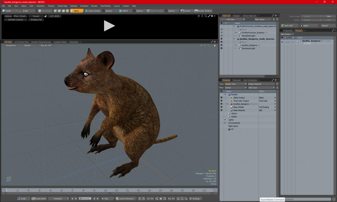 3D model Quokka Kangaroo