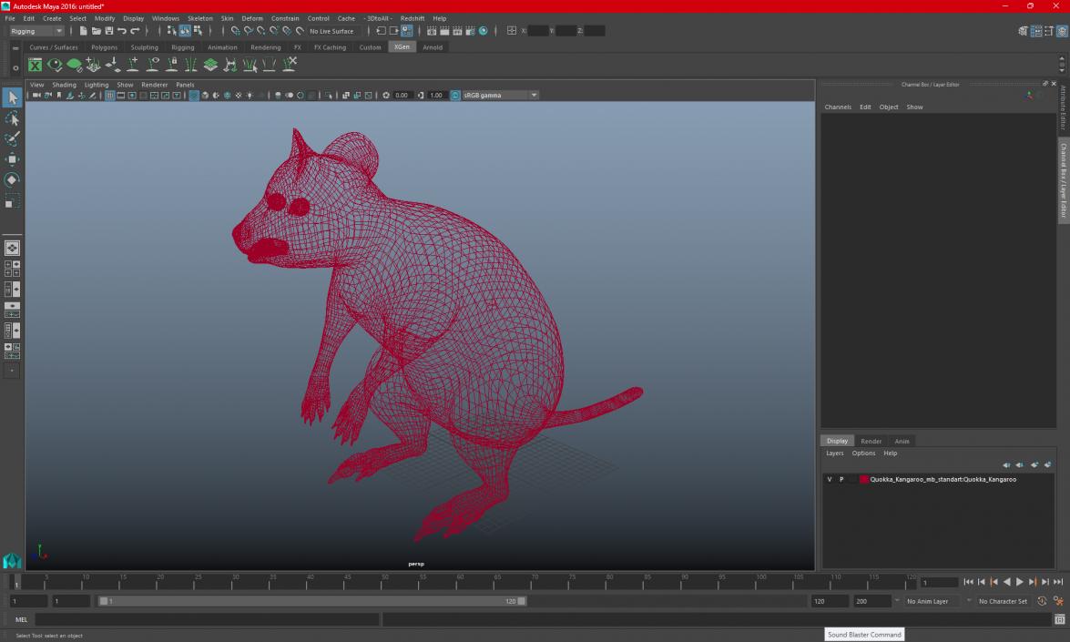 3D model Quokka Kangaroo