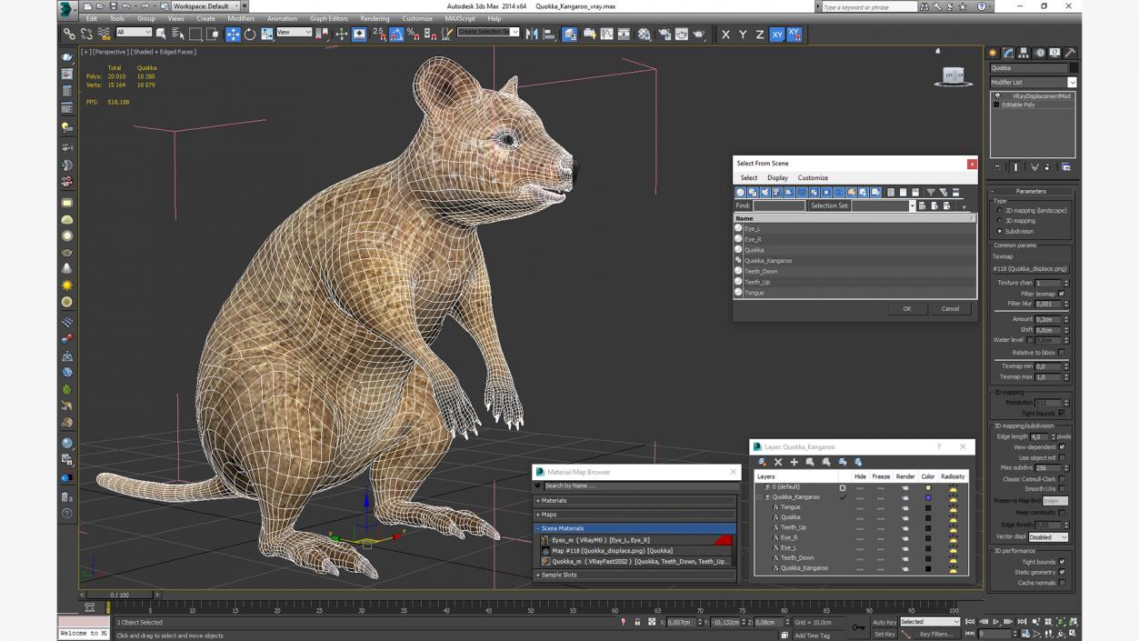 3D model Quokka Kangaroo