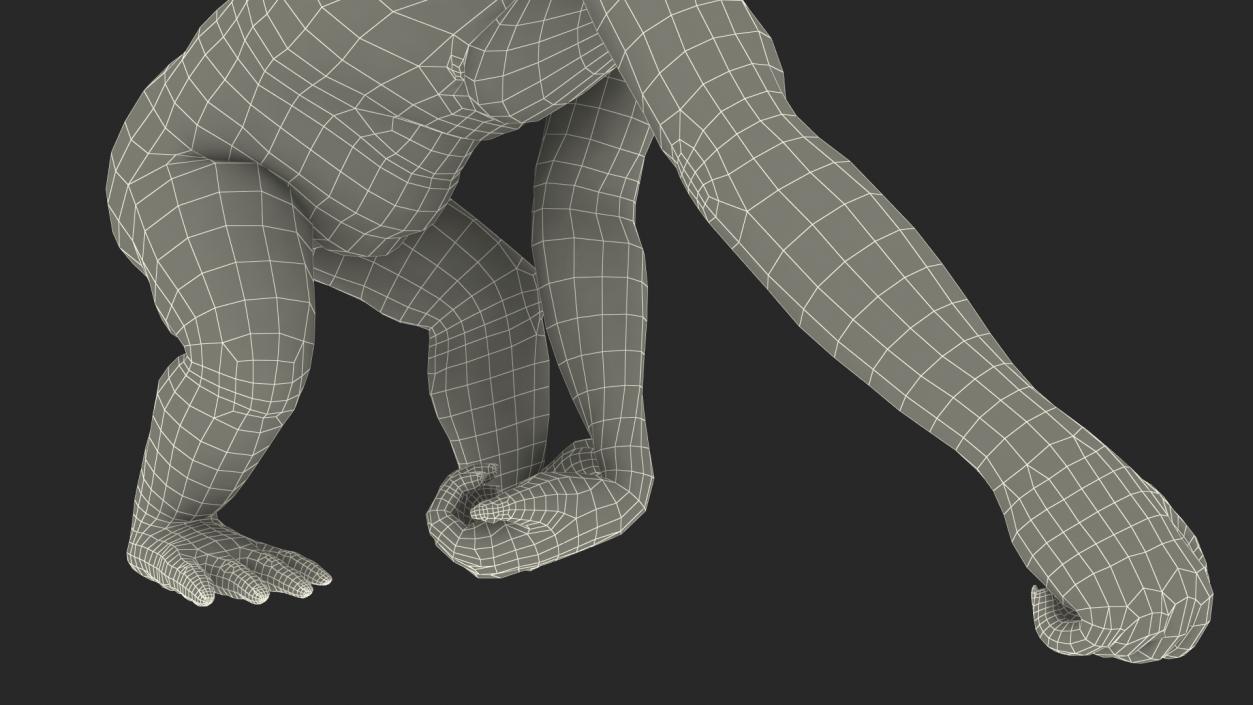 3D Orangutan Walking Fur