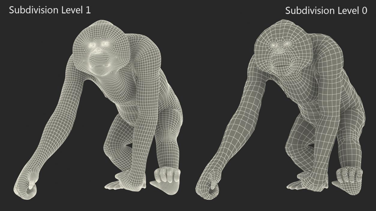 3D Orangutan Walking Fur