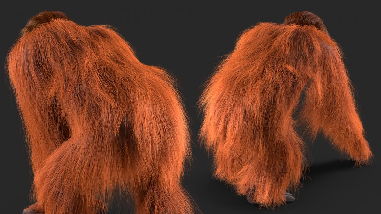 3D Orangutan Walking Fur