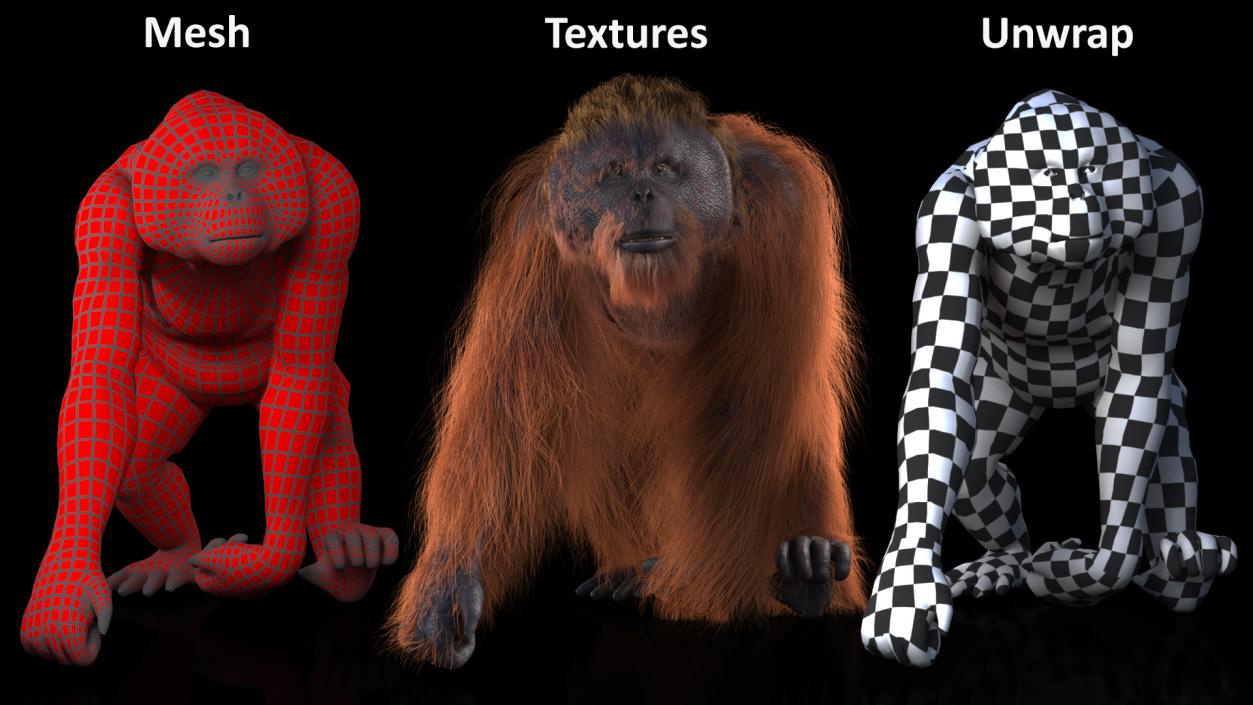 3D Orangutan Walking Fur