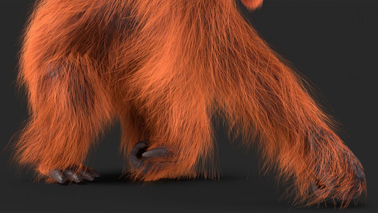 3D Orangutan Walking Fur