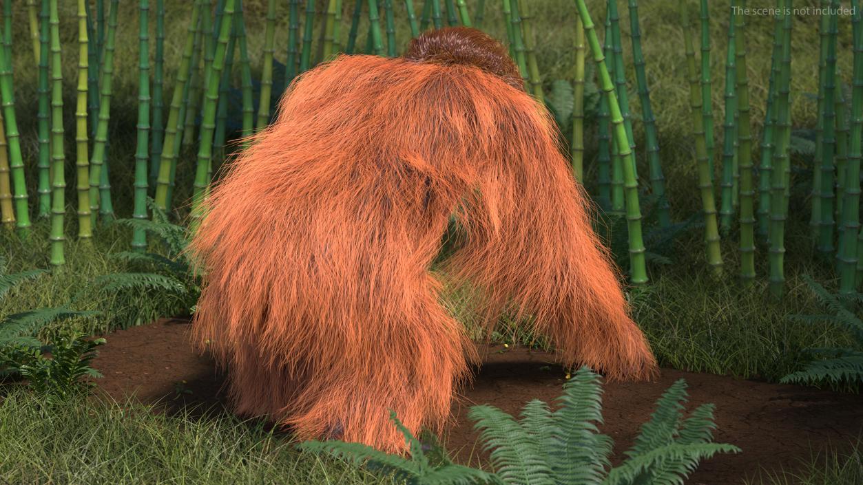 3D Orangutan Walking Fur